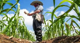 juicios agrarios en jalisco y nayarit